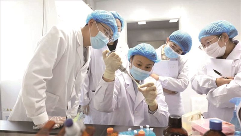 如何准备一份出色的博士生申请？